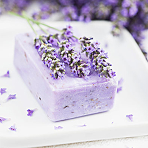 dried_lavender_flowers_4
